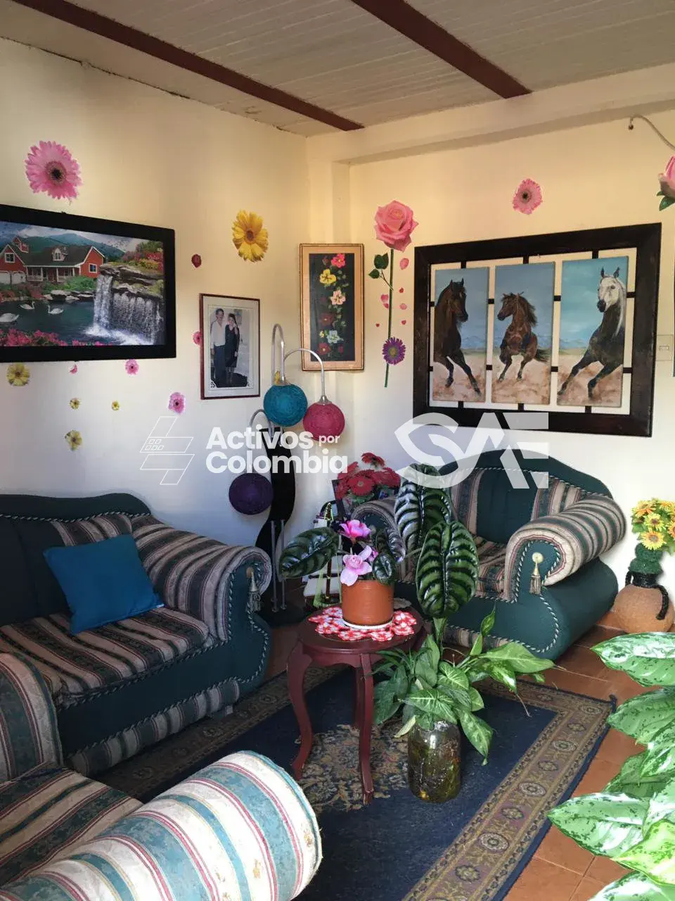 Casa en Venta - Carolina, Antioquia — imagen 3 de 4