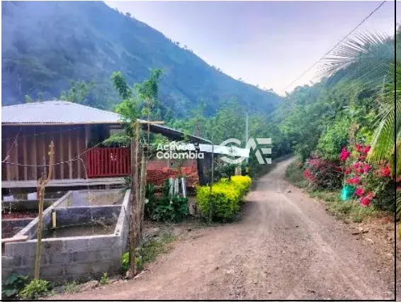 Finca en venta - Dabeiba, Antioquia — imagen 2 de 4