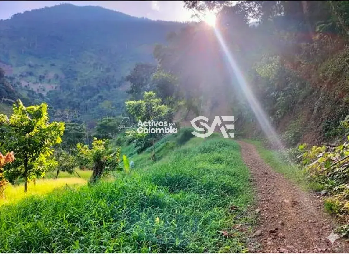 Finca en venta - Dabeiba, Antioquia — imagen 3 de 4