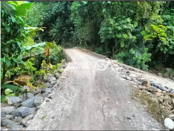 Finca en venta - Dabeiba, Antioquia — imagen 4 de 4