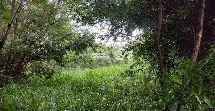 Lote en venta - Yumbo — imagen 5 de 7