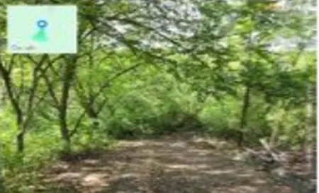 Lote de Terreno — imagen 4 de 5