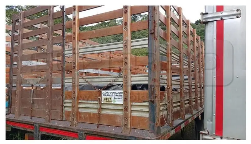 CHEVROLET FRR 700P MT CAMION MT 5193 CC MOD. 2021, PLACA: GTX766 Ubic.: COPACABANA, ANTIOQUIA — imagen 4 de 8