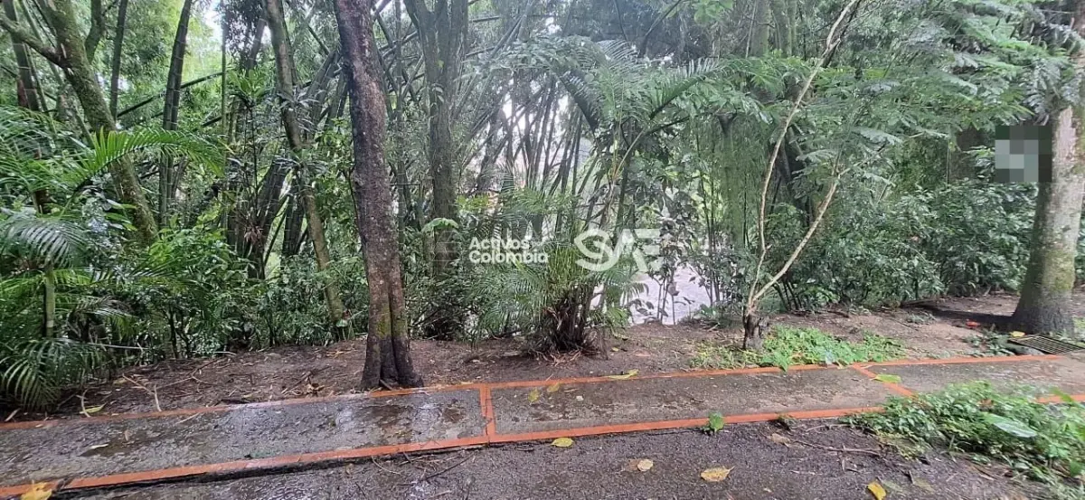 Apartamento en venta--Ibagué--Tolima — imagen 3 de 10